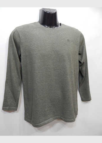 Оливковый демисезонный повседневный лонгслив Aeropostale однотонный