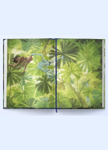 Книга джунглей No Brand (388669996)