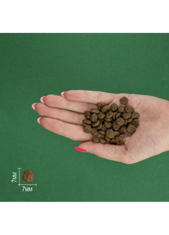 Сухий корм Chicken Mini Adult для дорослих собак дрібних порід з куркою 2 кг (8436538946718) Bravery (366081624)