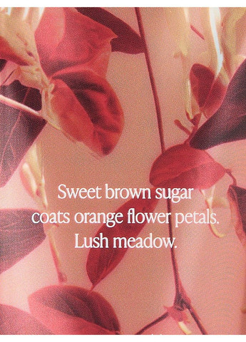 Лосьон для тела Fall Flora Body Fragrance Lotion Victoria's Secret (317393229)