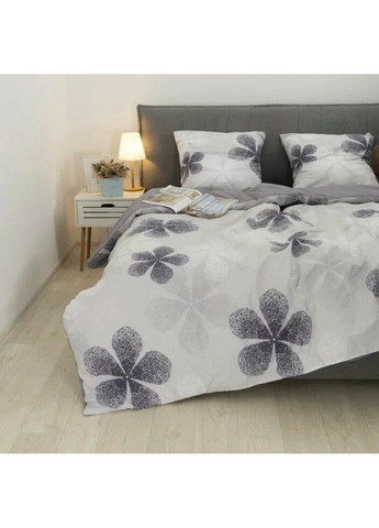 Постільна білизна полуторна Ранфорс 1 24269-1-5 210х143 см Viluta (336327909)