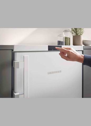 Морозильна камера Fe 1404 LIEBHERR (314835501)