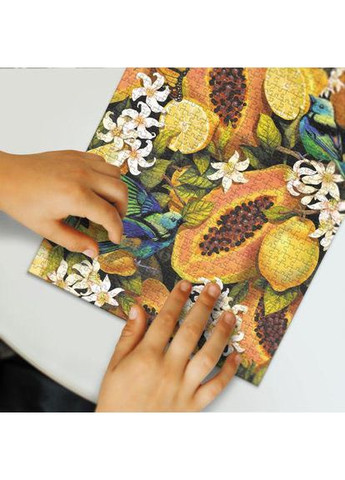 Пазл " Ботаника. Тропические фрукты" 770 эл (TS01091996283649) Dodo (372495631)