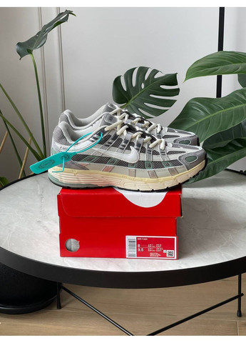 Кроссовки женские и мужские Nike P-6000 gray | Найк П-6000 серые No Brand серые демисезоны (354700427)
