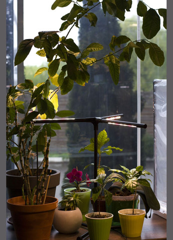 Фитолампа для растений, цветов, орхидей, рассады - фитосветильник полного спектра "Romario" Metaplant (346531991)