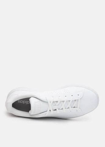 Белые женские кеды низкие adidas Advantage Base
