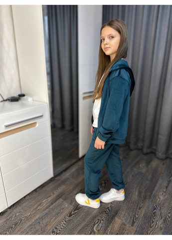 Теплый велюровый костюм с начесом на девочку Nositi 008-1-200-550 (370299403)