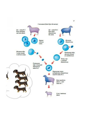 Геніальні гени РАНОК (370054286)
