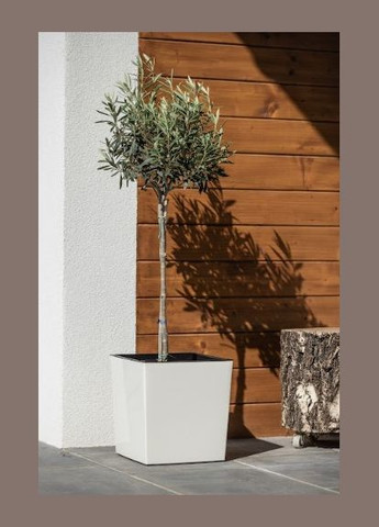 Кашпо 250x250 мокко, пластик Lamela Юка (336551362)