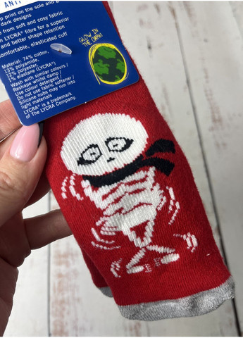 Шкарпетки дитячі махрові Червоний (76/100) Lupilu (368500375)