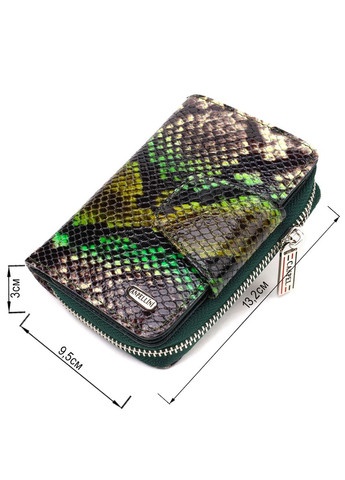 Женское фактурное вертикальное портмоне с монетницей на молнии из натуральной кожи с тиснением под змею 21732 Разноцветное Canpellini (337353296)