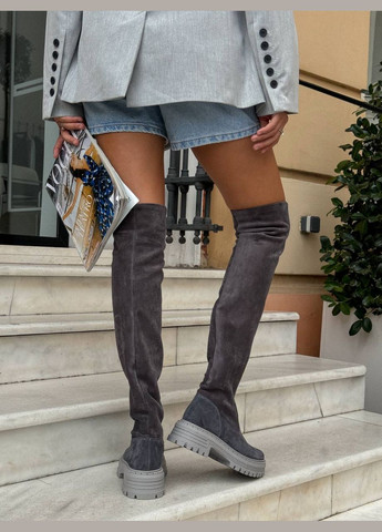 Серые осенние зимние ботфорты No Brand