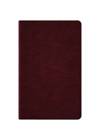 Ежедневник 2026 Partner City Soft, 125*195, коричневый Axent (380728021)