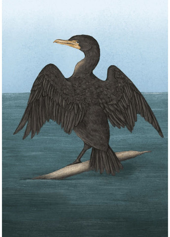 Орнитография: Иллюстрированный справочник по птичьей символике и легендам ArtHuss (370058778)