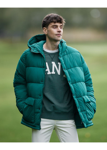 Зеленый свитшот 2046035-339 june bug green Gant (364489495)