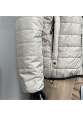 Бежева куртка демісезонна чоловіча стьогана капюшон 48 світла 172