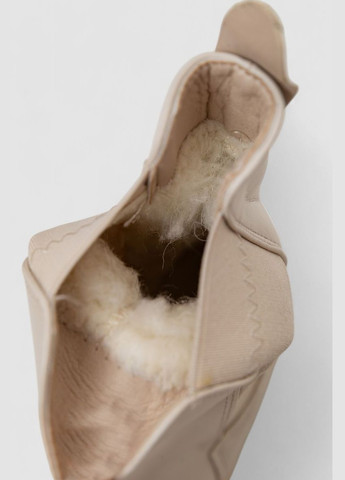 Осенние ботинки женские зимние на меху Purlina без декора