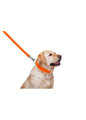 Повідець для собак шкіряний Glamour Ш 25 мм Д 122 см Жовтогарячий WAUDOG (279568992)
