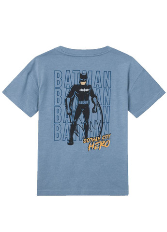 Комбинированная демисезонная хлопковая футболка (2 шт.) Lupilu