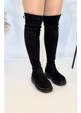 Ефектні жіночі ботфорти No Brand (367261766)