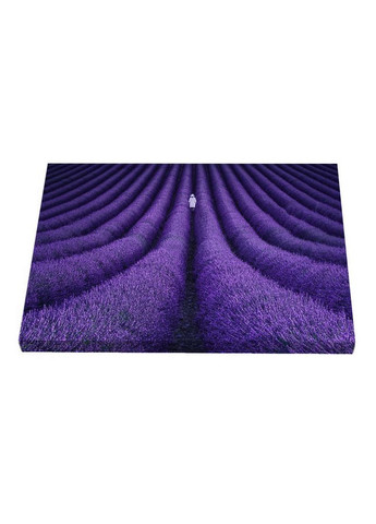 Набір постерів Фіолетове макро (PS-034) 3 шт в наборі Riviera Blanca (303135727)