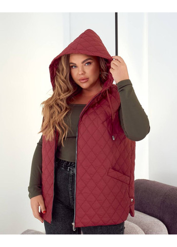 Жилет жіночий стьобаний з капюшоном No Brand (361221230)