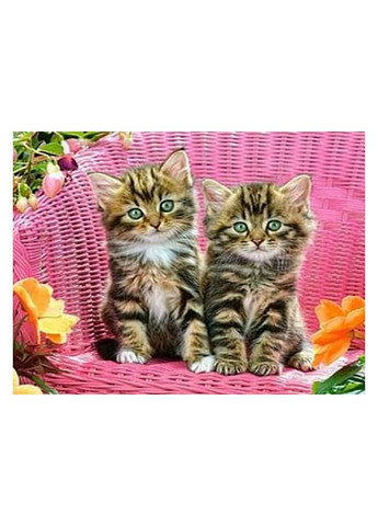 Алмазна мозаїка "Пухнаті близнюки" 178195 картон, неповна викладка No Brand (339780709)