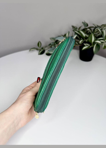 Жіночий м'який гаманець з натуральної шкіри безкаркасний Classic (315623012)