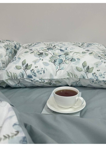 Комплект постільної білизни Півтораспальний Ранфорс 00051 Freshery 0005115 No Brand (351869711)