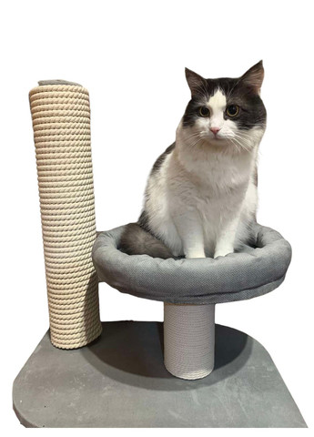 Когтеточка Клеопатра 41х61 см Серый (Х.Б.130/2) Фанкот (311668070)