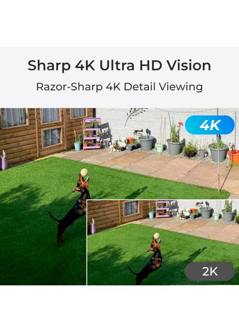 IP-камера P437 Reolink (324835113)