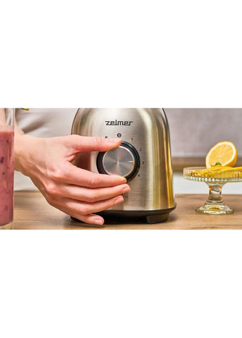 Блендер стаціонарний ZSB4820 Zelmer (368575179)