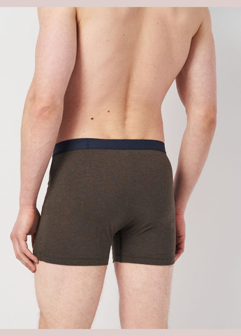 Труси (3шт) Basic Collection (295079675)