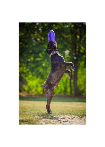 Іграшка для собак (6492) Puller Maxi 30 см (366523189)