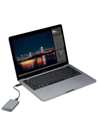 Накопитель SSD (STKH1000800) LaCie USB Type-C 1TB Mobile Secure (369559948)