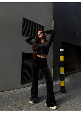 Жіночий велюровий спортивний костюм FINO Mode (361659321)