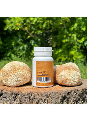 Экстракт Ежовика гребенчатого, 60 капсул по 0.5 г Лісовик (337336464)