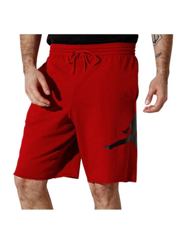 Шорти Jumpman Logo Shorts DB1812-687 Jordan (285794646)
