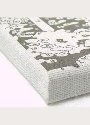 Квіти картини за номерами 40х50 У стилі СПА Картина по цифрах на полотні Картини розпис за номерами GX4440 Rainbow Art (308989166)