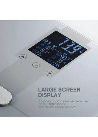 Вес веса (NP-BS02) Naipo (360427377)