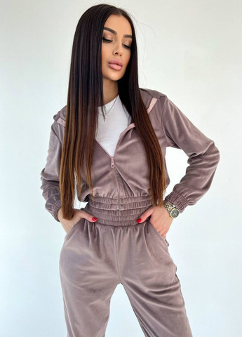 Базовий повсякденний велюровий костюм двійка: вкорочений худі + штани Allthings (321994114)