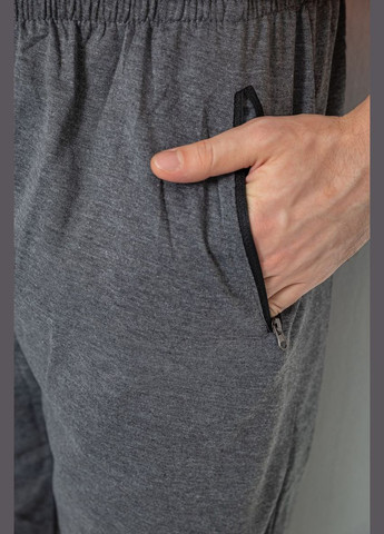 Серые спортивные демисезонные брюки Ager