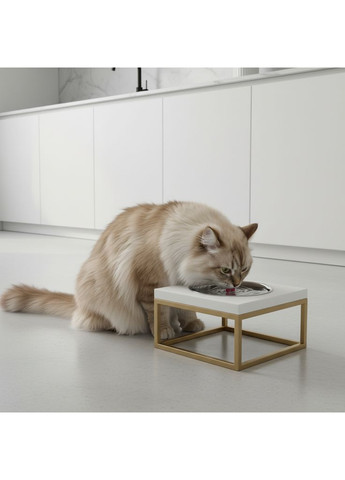 Миска на підставці для котів і середніх собак Base Solo M (1 × 0,8 л) Solo M-212110-GLWH Hollky (365652767)