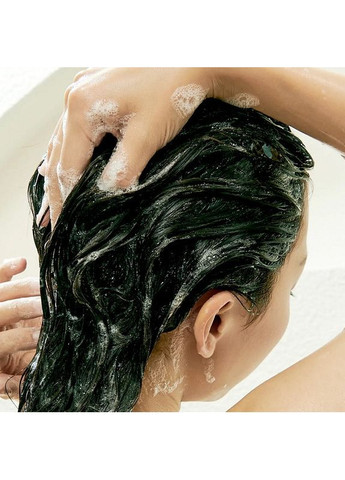 Шампунь для чутливої шкіри голови Lador Root Re-Boot Purifying Shampoo Ginger & Apple 50 ml La'dor (367086324)