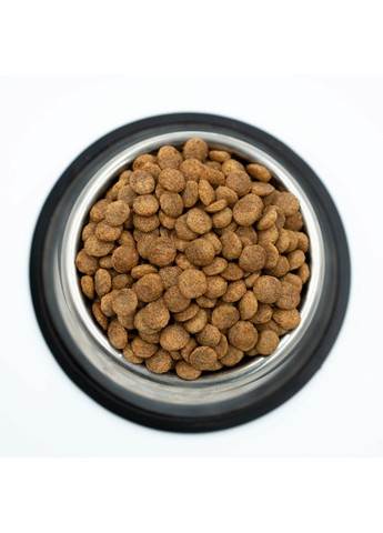 Сухой корм Kitten Chicken 5 кг для котят (курица) Stardeyl (369944588)