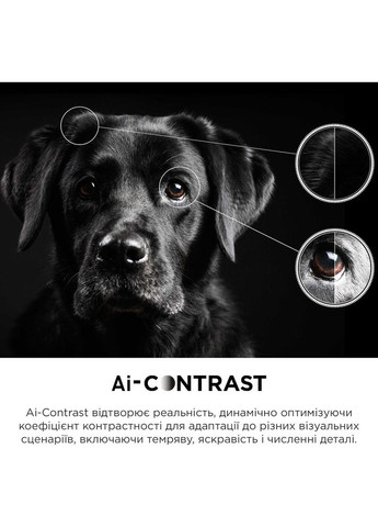 Телевизор 50C645 TCL (306528085)