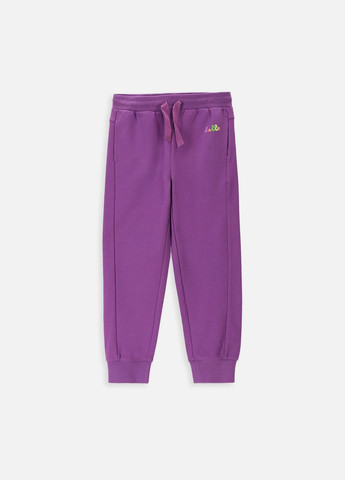 Фиолетовые демисезонные брюки Coccodrillo