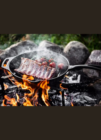 Сковорода гриль Petromax Grill Fire Skillet чугунная с длинной ручкой No Brand (316445212)