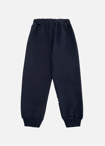 Штани спортивні для хлопчика колір темно-синій CB-00242948 Yuki (314909724)
