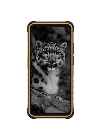 Мобільний телефон (m481686) Ulefone Armor X31 6/128Gb Black Orange (367064546)